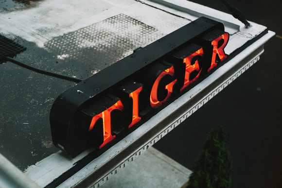 Tiger-Hotel-Neon-Sign
