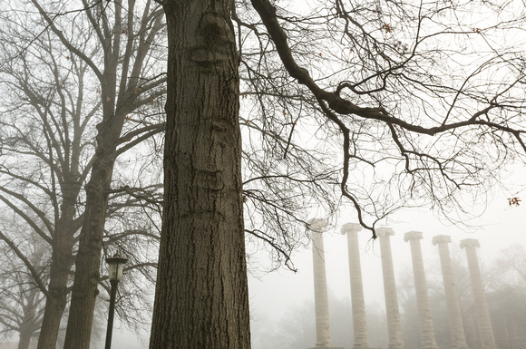 Mizzou-Columns-Through-Fog-And-Pin-Oak-Trees