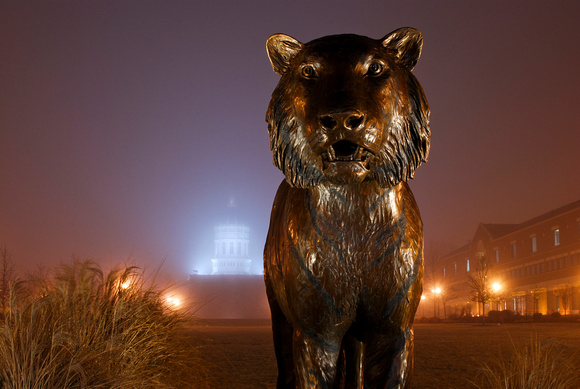 Bronze-Tiger-Statue-University-Missouri