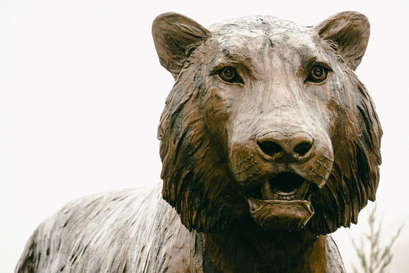 Bronze tiger statue closeup