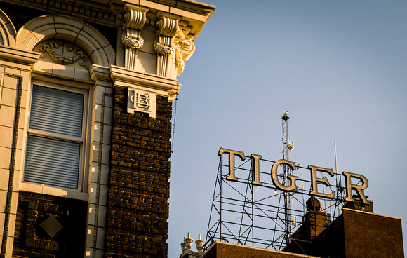 Tiger-Neon-Hotel-Sign-Columbia-Missouri
