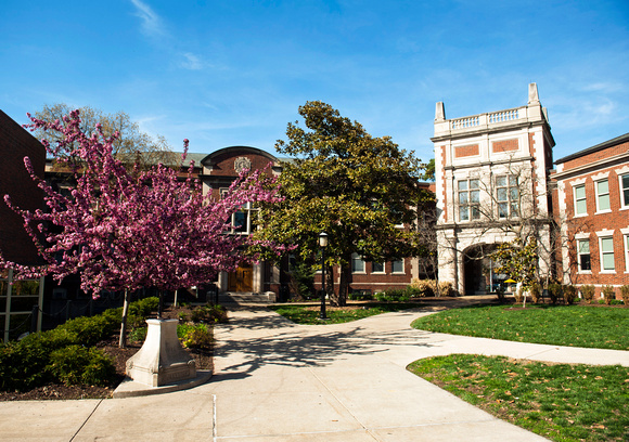 Mizzou Journalism School Buildings with purple spring flowering trees on University of Missouri Campus